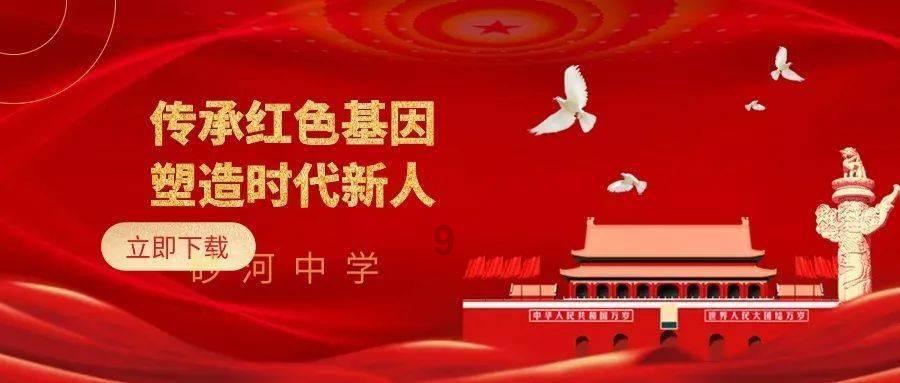 破碎的动物图形3